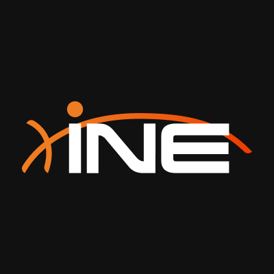 Logo INE Security